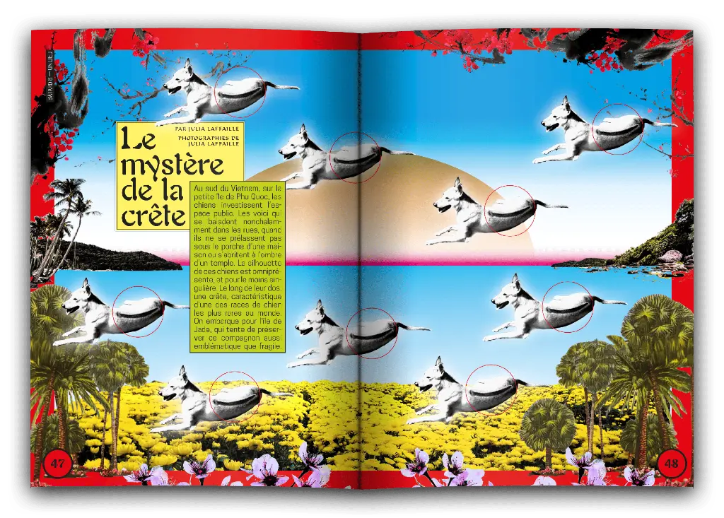 Batard_8_Lemysteredelacrete.webp