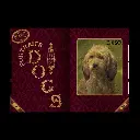 2 (3).webp