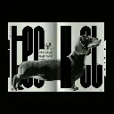 1 (3).webp