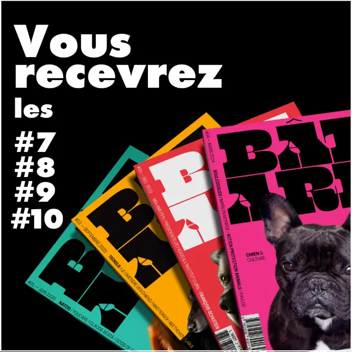 Abonnement 1 an