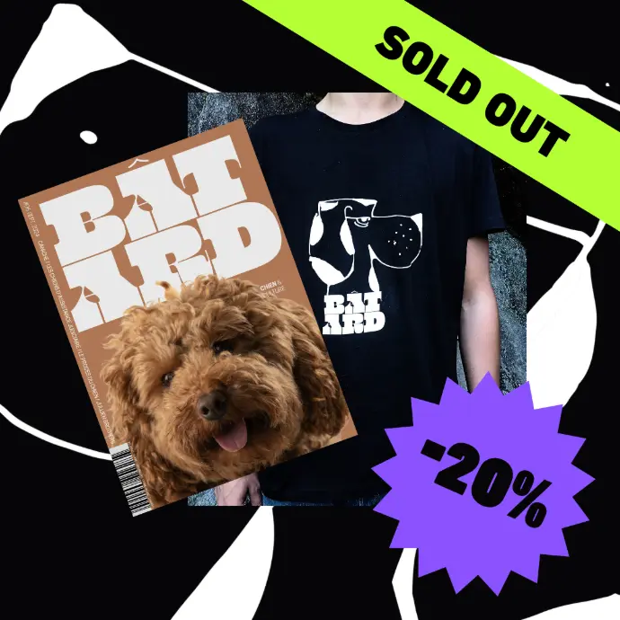 Pack T-shirt + Bâtard #6