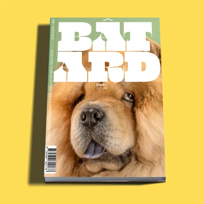 Bâtard #8 - Mars 2025